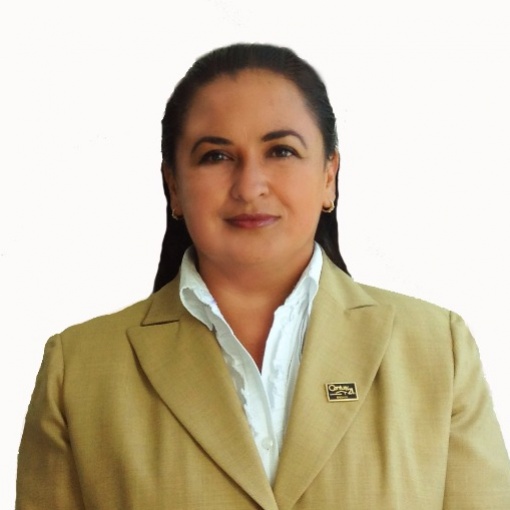 Asesor Mayra Iveth Flores Ramírez