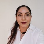 Asesor ANA LAURA RAMÍREZ GARCÍA