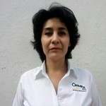 Asesor ING. Yoloxochitl Torres Irigoyen