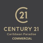 Asesor CENTURY 21 COMMERCIAL