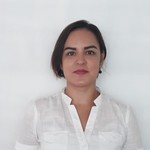Asesor Maria Amelia Castillo Bedolla