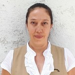 Asesor Maria Fabiola Deveaux Gutierrez