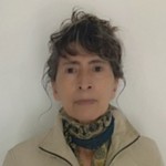 Asesor Olivia Salazar Santos